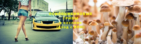 трава Волоколамск