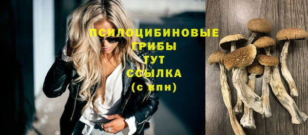 ECSTASY Володарск