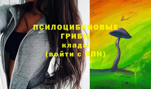 ECSTASY Володарск